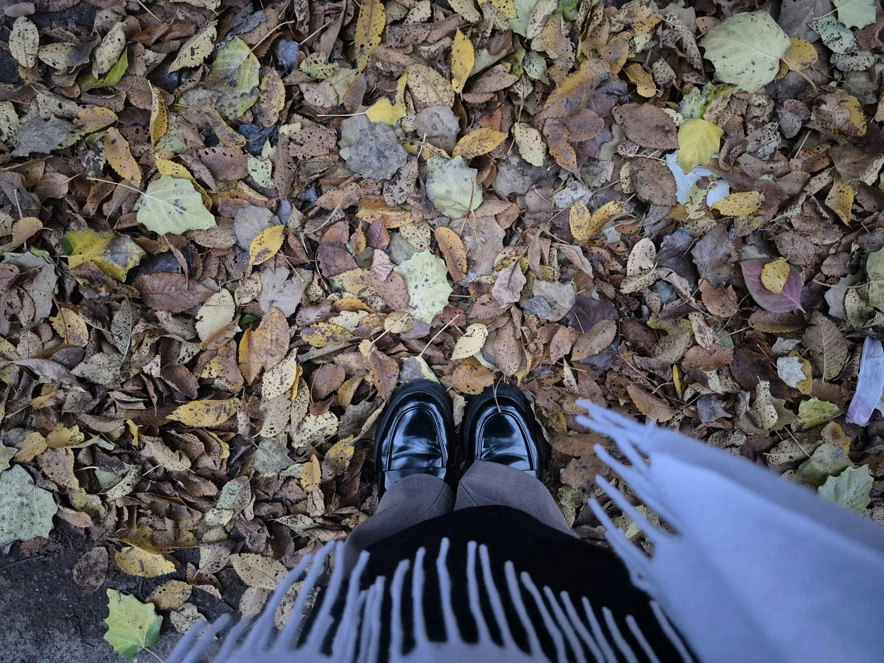 La sorprendente lezione sull’autunno che può cambiare il tuo modo di affrontare la vita